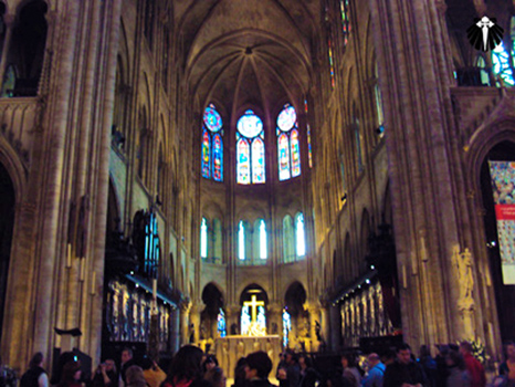 Catedral de Notre Dame. Thumb